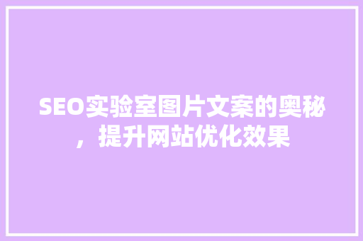 SEO实验室图片文案的奥秘，提升网站优化效果