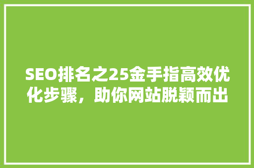 SEO排名之25金手指高效优化步骤，助你网站脱颖而出