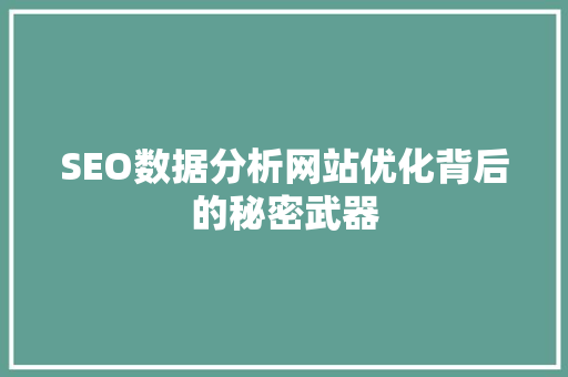 SEO数据分析网站优化背后的秘密武器