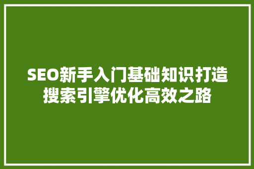 SEO新手入门基础知识打造搜索引擎优化高效之路