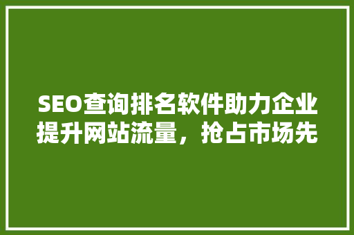SEO查询排名软件助力企业提升网站流量，抢占市场先机