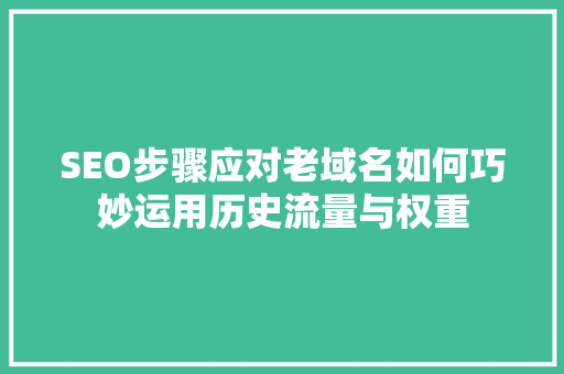 SEO步骤应对老域名如何巧妙运用历史流量与权重