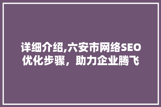 详细介绍,六安市网络SEO优化步骤，助力企业腾飞