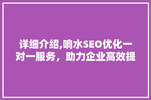 详细介绍,响水SEO优化一对一服务，助力企业高效提升网站排名  第1张