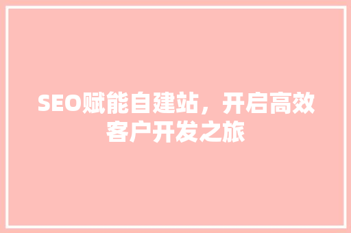 SEO赋能自建站，开启高效客户开发之旅