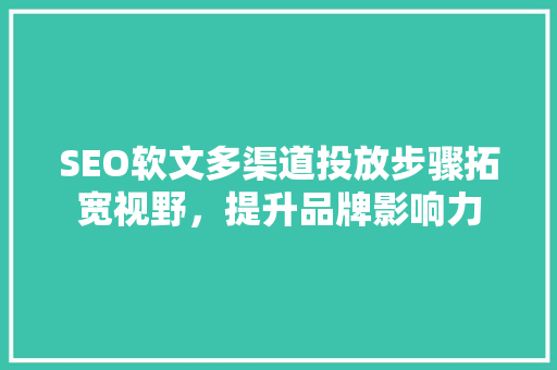 SEO软文多渠道投放步骤拓宽视野，提升品牌影响力
