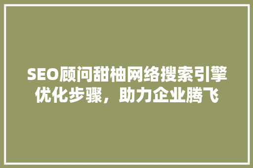 SEO顾问甜柚网络搜索引擎优化步骤，助力企业腾飞  第1张