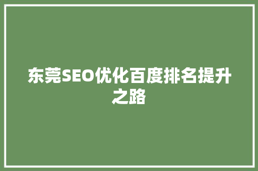 东莞SEO优化百度排名提升之路