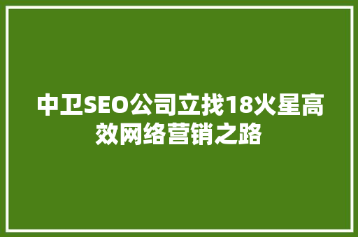 中卫SEO公司立找18火星高效网络营销之路