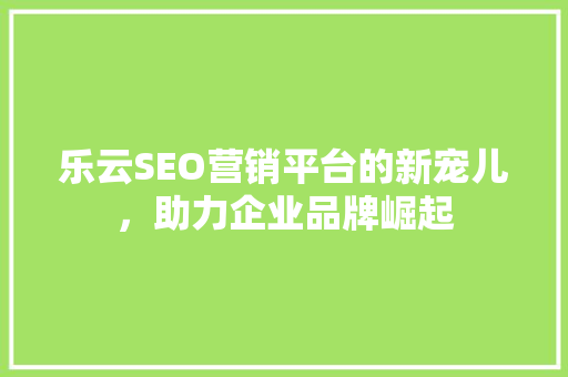 乐云SEO营销平台的新宠儿，助力企业品牌崛起