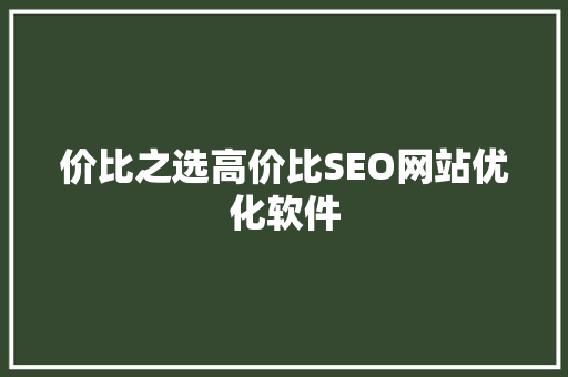 价比之选高价比SEO网站优化软件