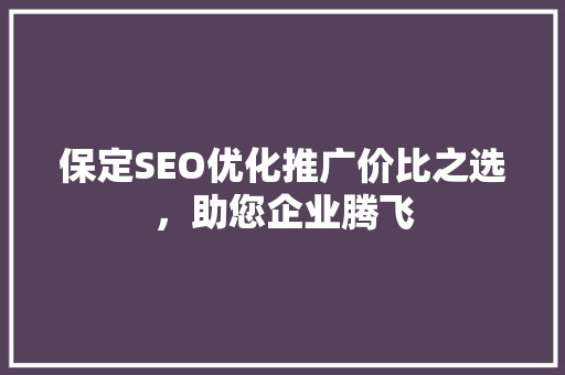 保定SEO优化推广价比之选，助您企业腾飞