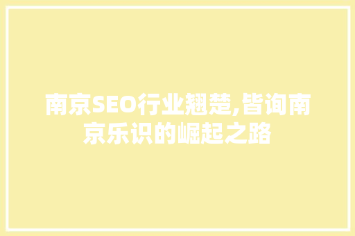 南京SEO行业翘楚,皆询南京乐识的崛起之路