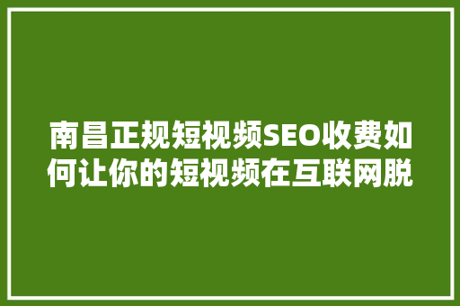 南昌正规短视频SEO收费如何让你的短视频在互联网脱颖而出