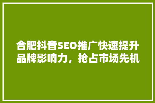 合肥抖音SEO推广快速提升品牌影响力，抢占市场先机
