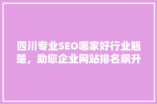 四川专业SEO哪家好行业翘楚，助您企业网站排名飙升