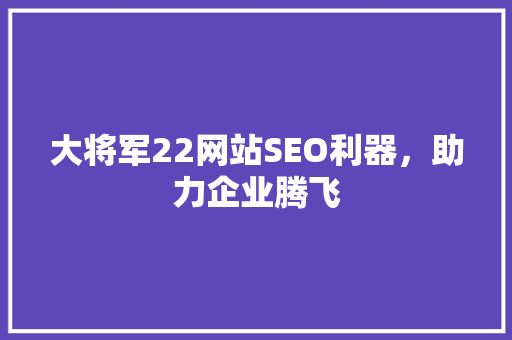 大将军22网站SEO利器，助力企业腾飞