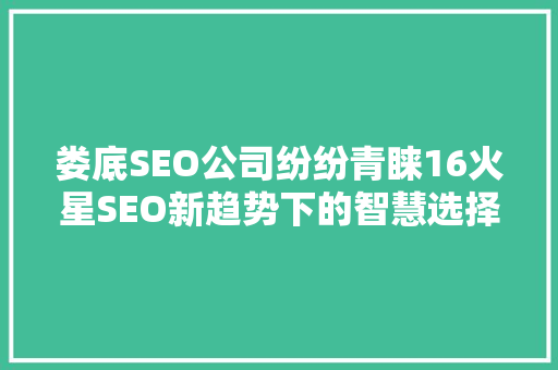 娄底SEO公司纷纷青睐16火星SEO新趋势下的智慧选择