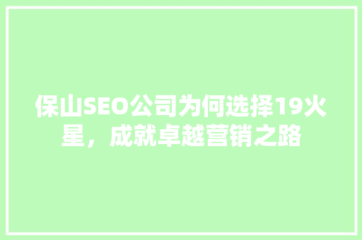 保山SEO公司为何选择19火星，成就卓越营销之路