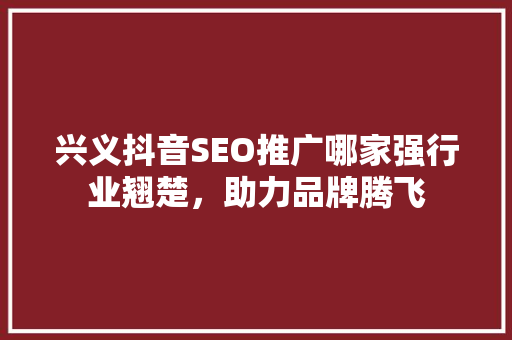 兴义抖音SEO推广哪家强行业翘楚，助力品牌腾飞