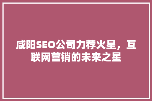 咸阳SEO公司力荐火星，互联网营销的未来之星