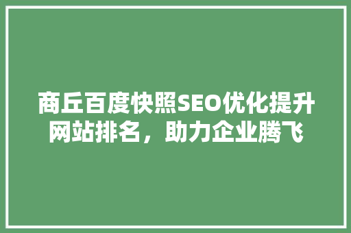 商丘百度快照SEO优化提升网站排名，助力企业腾飞