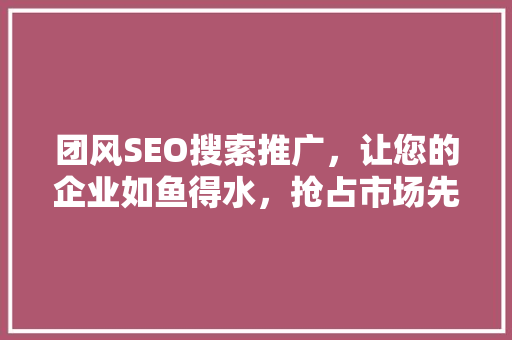 团风SEO搜索推广，让您的企业如鱼得水，抢占市场先机