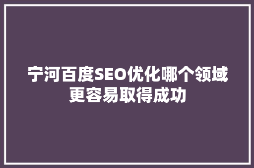 宁河百度SEO优化哪个领域更容易取得成功