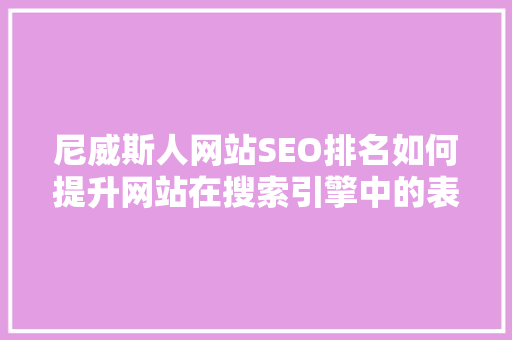 尼威斯人网站SEO排名如何提升网站在搜索引擎中的表现