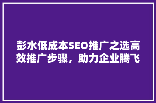 彭水低成本SEO推广之选高效推广步骤，助力企业腾飞