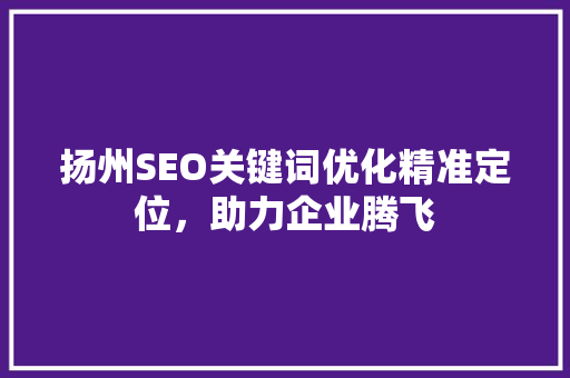 扬州SEO关键词优化精准定位，助力企业腾飞