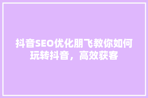 抖音SEO优化朋飞教你如何玩转抖音，高效获客
