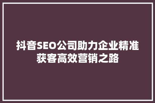 抖音SEO公司助力企业精准获客高效营销之路