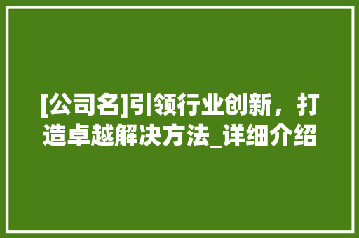 [公司名]引领行业创新，打造卓越解决方法_详细介绍公司官网SEO步骤