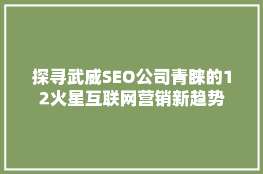探寻武威SEO公司青睐的12火星互联网营销新趋势