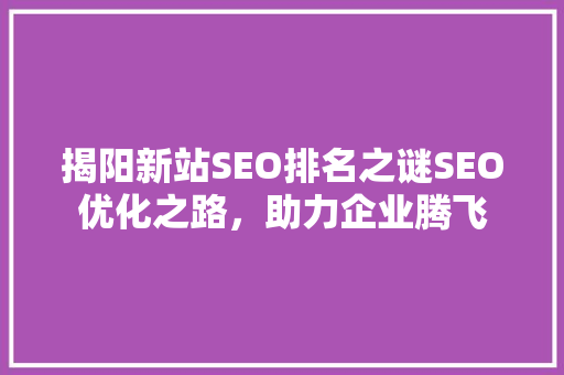 揭阳新站SEO排名之谜SEO优化之路，助力企业腾飞