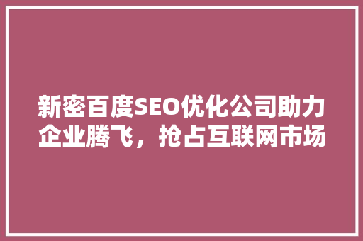 新密百度SEO优化公司助力企业腾飞，抢占互联网市场制高点
