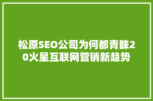 松原SEO公司为何都青睐20火星互联网营销新趋势