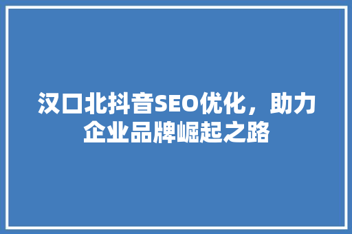 汉口北抖音SEO优化，助力企业品牌崛起之路