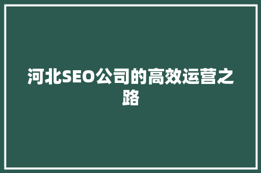 河北SEO公司的高效运营之路