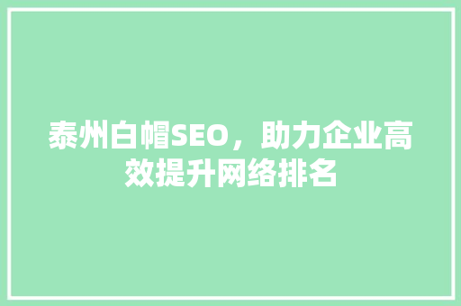 泰州白帽SEO，助力企业高效提升网络排名  第1张