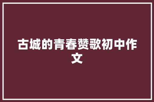 淘宝SEO标题优化攻略关键词布局的艺术