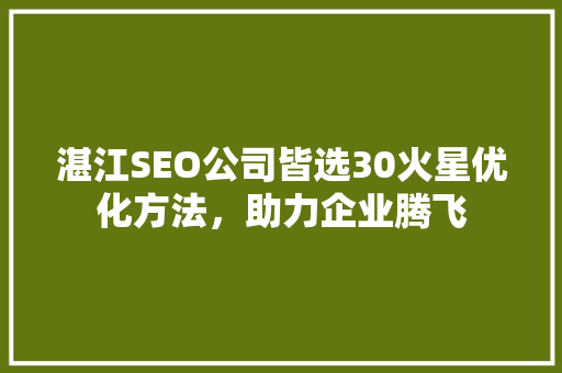 湛江SEO公司皆选30火星优化方法，助力企业腾飞