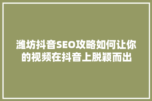 潍坊抖音SEO攻略如何让你的视频在抖音上脱颖而出