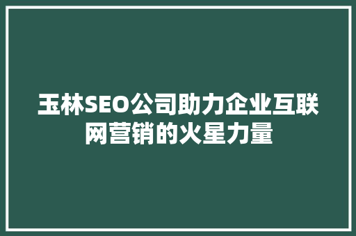 玉林SEO公司助力企业互联网营销的火星力量