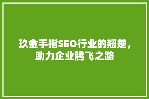 玖金手指SEO行业的翘楚，助力企业腾飞之路