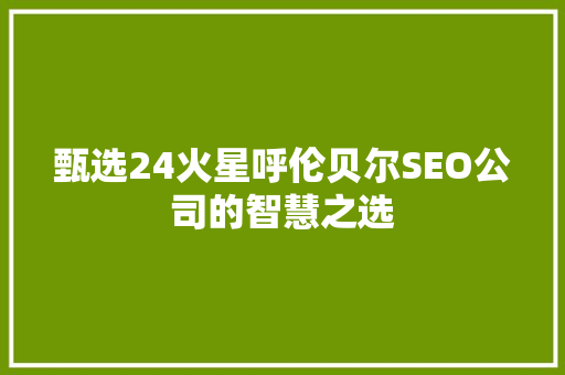 甄选24火星呼伦贝尔SEO公司的智慧之选