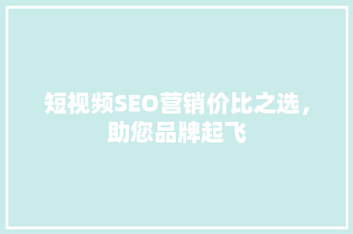 短视频SEO营销价比之选，助您品牌起飞