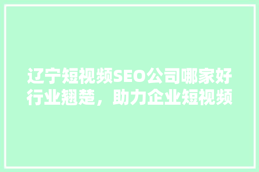 辽宁短视频SEO公司哪家好行业翘楚，助力企业短视频营销腾飞