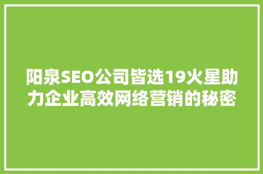 阳泉SEO公司皆选19火星助力企业高效网络营销的秘密武器